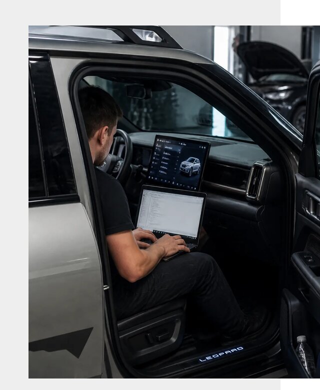 Русификация BYD Leopard 3 в Ступине по цене от 20684 р. | ФастМобиль-Стп